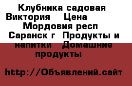 Клубника садовая (Виктория) › Цена ­ 1 000 - Мордовия респ., Саранск г. Продукты и напитки » Домашние продукты   